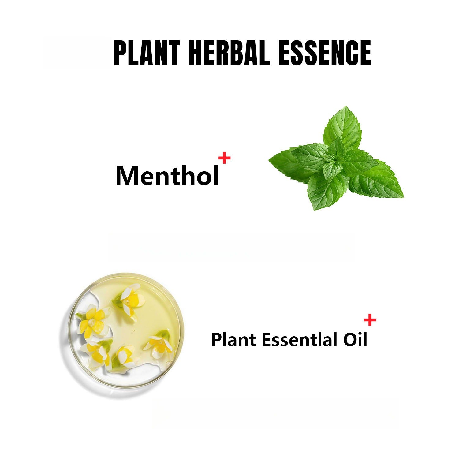 Menthol and plant essential oils create long lasting cooling fresh sensation