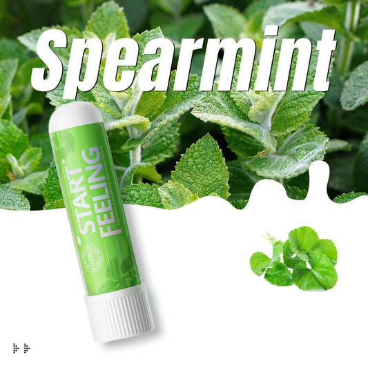 Spearmint refreshing nasal inhaler placed among fresh natural mint foliage