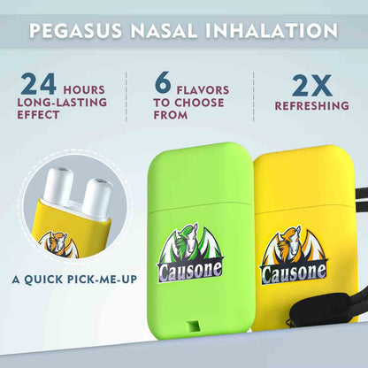 Two colored portable inhalers showing 24 hour lasting effect six optional flavors and doubled refreshing power